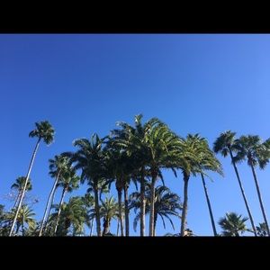 Meet your Posher, Candace